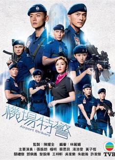 機場特警DVD/Airport Security Unit