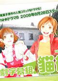 貓街Cat Street