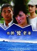 我的傻老婆/我的傻瓜老婆/我的老婆是傻瓜
