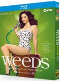 單身毒媽第1-8季/Weeds Season 1-8（BD藍光高清版）